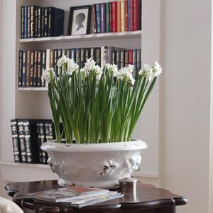 Meet your Posher, Claudia